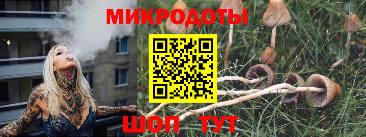 Галлюциногенные грибы Psilocybine cubensis  где продают   Кубинка  Галлюциногенные грибы прущие грибы  Вход с VPN 